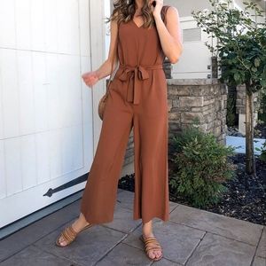 Everlane Japanese GoWeave Essential Jumpsuit in Rust